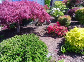 Landscape Services | Seattle | Bellevue | King County